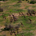 Bandingilo-National-Park