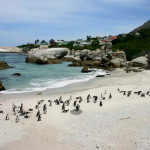 Boulders-Beach