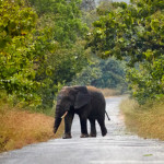 Fazao-National-Park