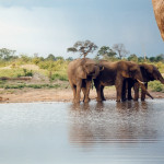 Hwange-National-Park