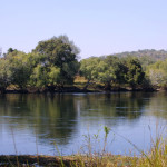 Kafue-River