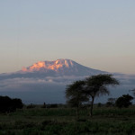 Kilimanjaro