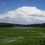 Lake-Ravelobe