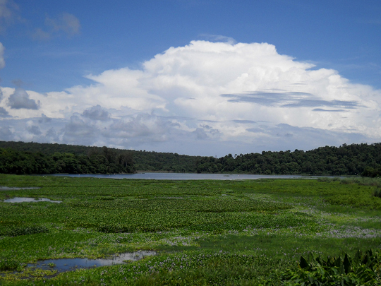 Lake-Ravelobe