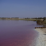 Lake-Retba