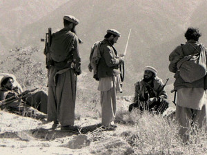 Mujahadeen