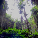 Musanze-Caves-2