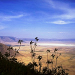 Ngorongoro-Crater