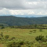 Nyika-Park