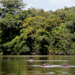 Outamba-Kilimi-2