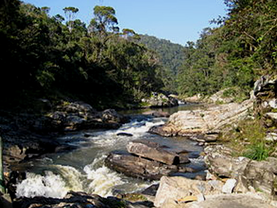 Ranomafana-National-Park