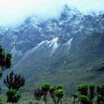 Rwenzori-Mountains