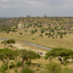 Tarangire-National-Park