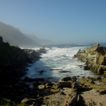 The-Garden-Route-2