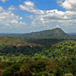 Central-Suriname-Nature-Reserve
