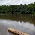 Dja-River