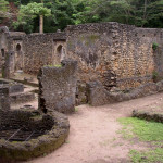 Gedi-Ruins