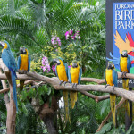Jurong-Bird-Park