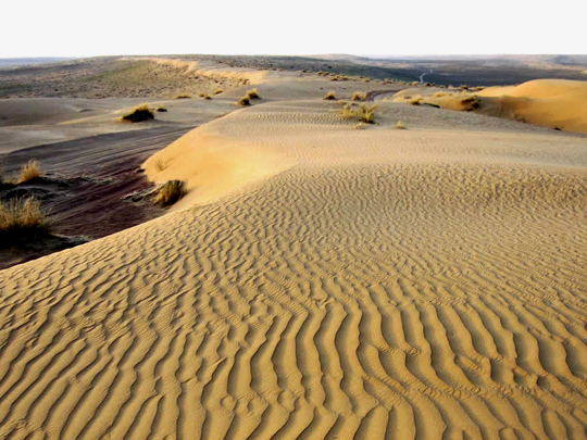 Karakum-Desert