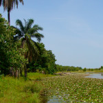 Kiang-West