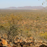 Mokolodi-Nature-Reserve
