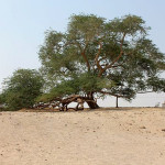 Tree-of-Life