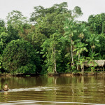 Amazon-Rainforest-2