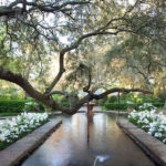 Bellingrath-Gardens