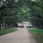 Boone-Hall-Plantation