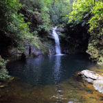 Cockscomb-Wildliife-Sanctuary