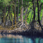 Los-Haitises-National-Park