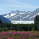 Mendenhall-Glacier