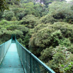 Monteverde-Sky-Walk