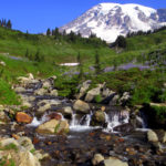 Myrtle-Falls