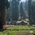 Sequoia-National-Park