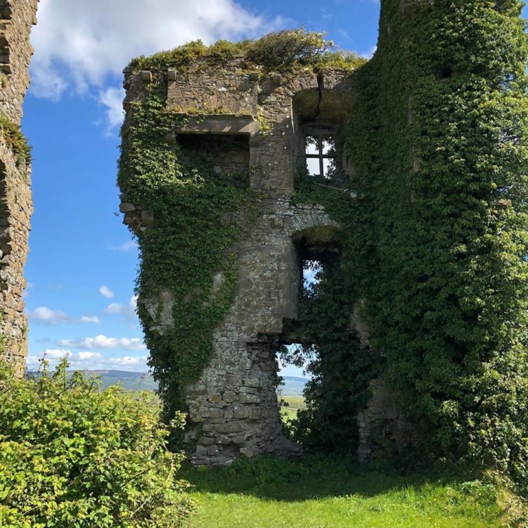 Carrigogunnell Castle – Clarina