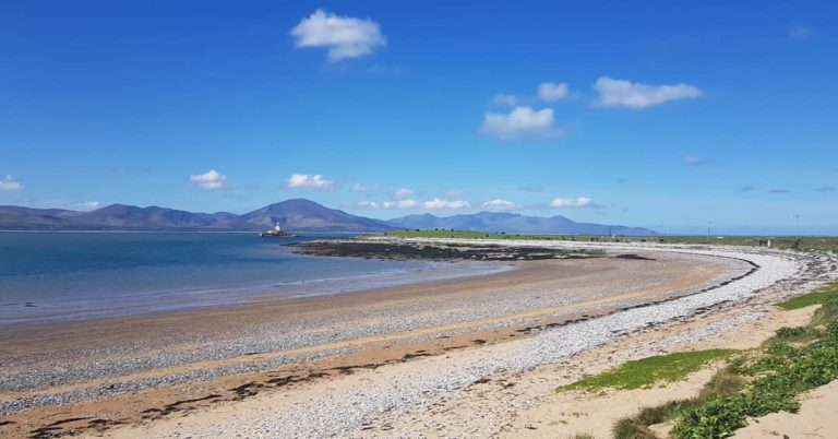 Fenit