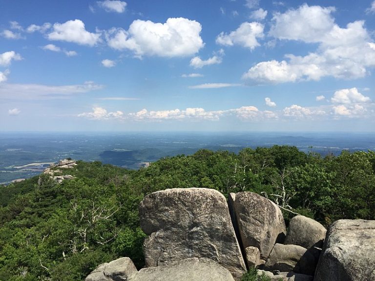 Virginia in 10 Pics
