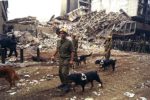 1998_United_States_embassy_in_Nairobi_bombings_IDF_relief_IV