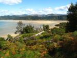 Abel_Tasman_National_Park_beach_autumn