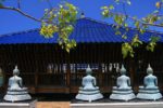 Beautiful_Landmark_in_Colombo_Sri_Lanka_Buddhist-Temple