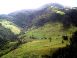 Cocora_valley