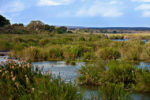 Kruger_National_Park_Landscape_1