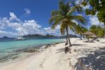 palm-island-saint-vincent-and-the-grenadines-st-vincent-cay