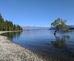 wanaka-2998430_1280