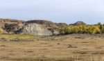 800px-Paririe_dog_town_Theodore_Roosevelt_National_Park_ND1