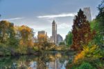 800px-Southwest_corner_of_Central_Park_looking_east_NYC