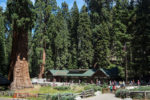 800px-United_States_-_California_-_Sequoia_National_Park_-_09